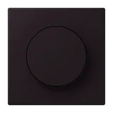 Noir d'Ivoire