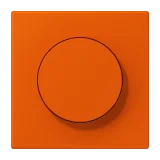 Orange Vif