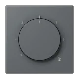 Gris Foncé 31