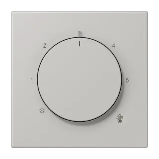 Centre plate for thermostat