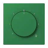 Vert Foncé
