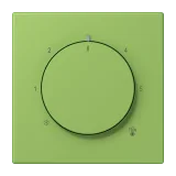 Vert 31