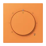 Orange Clair