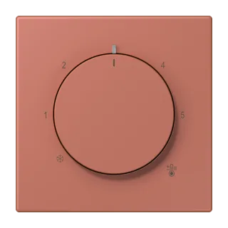 Centre plate for thermostat