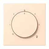 Terre Sienne Pâle
