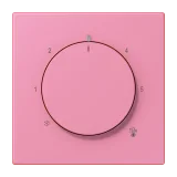 Rose Vif