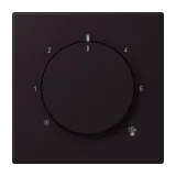 Noir d'Ivoire