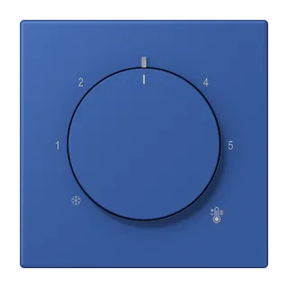 Centre plate for thermostat