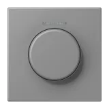 Gris 31