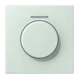 Céruléen Pâle