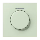 Vert Anglais Pâle