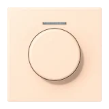 Terre Sienne Pâle