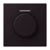 Noir d'Ivoire