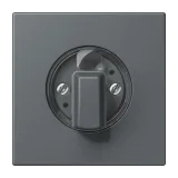 Gris Foncé 31
