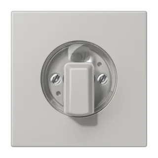 Centre plate with knob for rotary switch