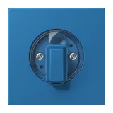 Bleu Céruléen 31