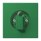 Vert Foncé