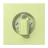 Vert Jaune Clair