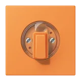 Orange Clair