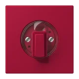 Rouge Carmin