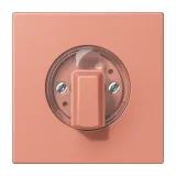 L'Ocre Rouge Moyen