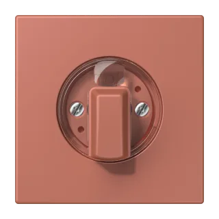 Centre plate with knob for rotary switch