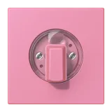 Rose Vif