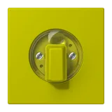 Vert Olive Vif