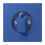 Bleu Outremer 59