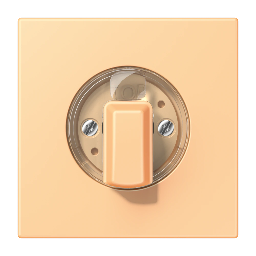 Centre plate with knob for rotary switch — JUNG LS 990 Le Corbusier, le corbusier 258, art. LC1941258