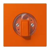 Orange Vif