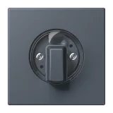 Gris Foncé 59