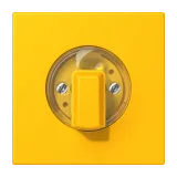 Le Jaune Vif