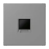 Gris 31