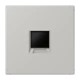 Gris Clair 31