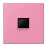 Rose Vif