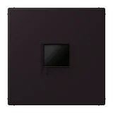 Noir d'Ivoire