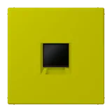 Vert Olive Vif