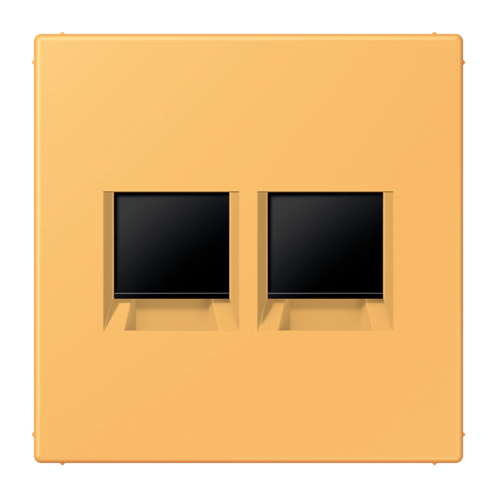 Centre plate for modular jack sockets — JUNG LS 990 Le Corbusier, le corbusier 254, art. LC1969-2WE254