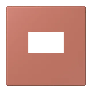 Centre plate for USB charger