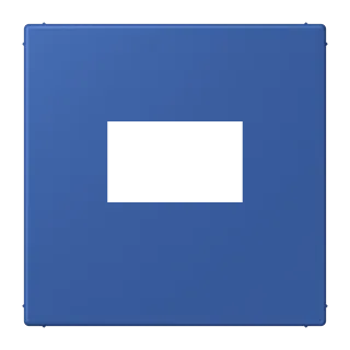 Centre plate for USB charger