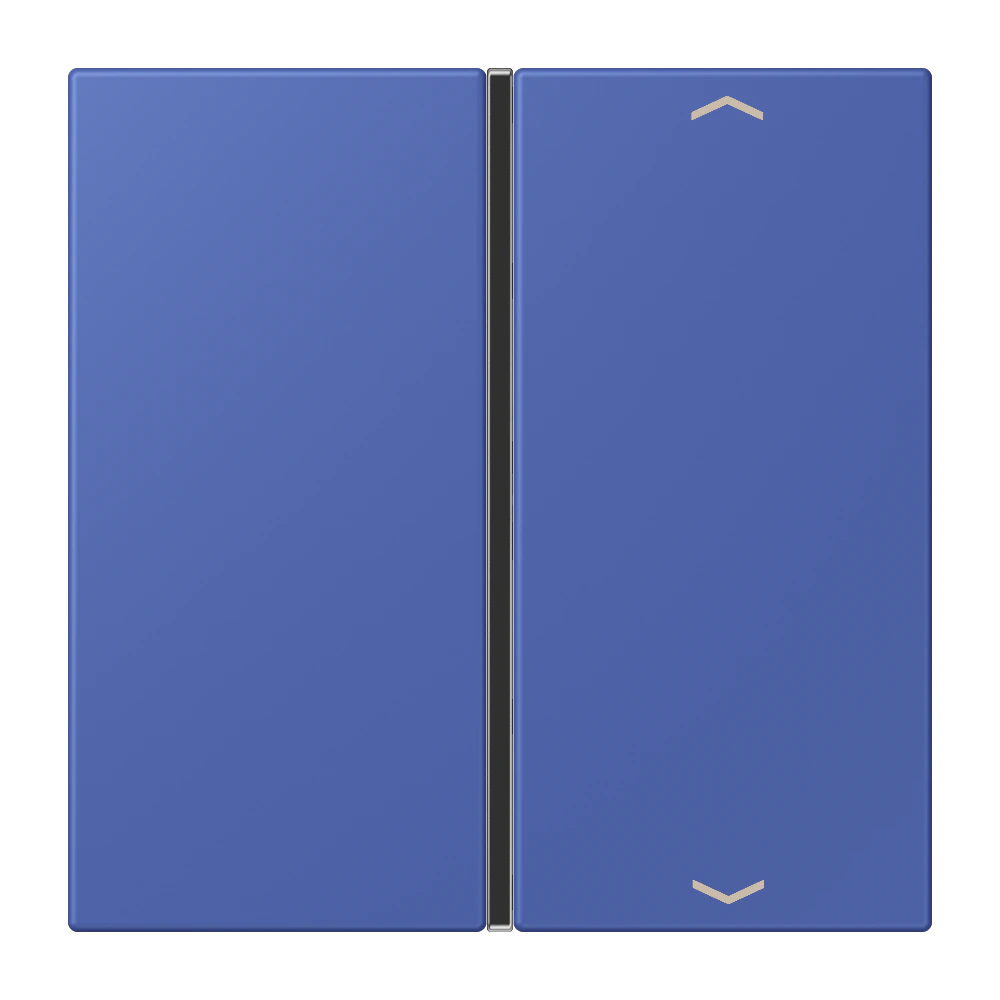 Накладка с символами, 1 группа — JUNG LS 990 Le Corbusier, Bleu Outremer 31, арт. LC401TSAP206