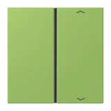 Vert 31