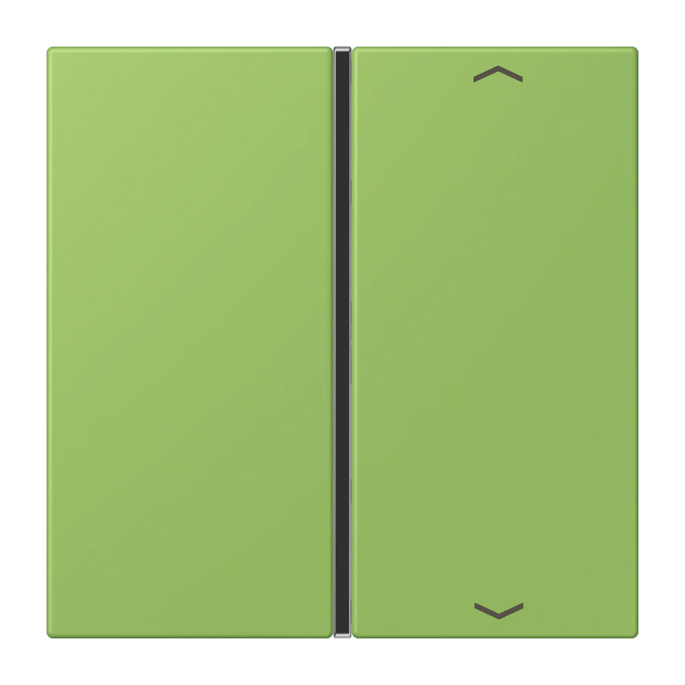 Cover 1-gang with symbols — JUNG LS 990 Le Corbusier, Vert 31, art. LC401TSAP220