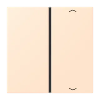 Накладка с символами, 1 группа