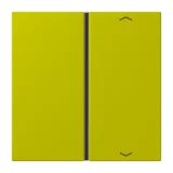 Vert Olive Vif