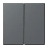 Gris Foncé 31