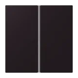 Noir d'Ivoire