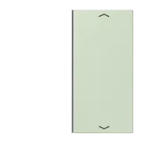 Vert Anglais Pâle
