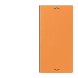 Orange Clair